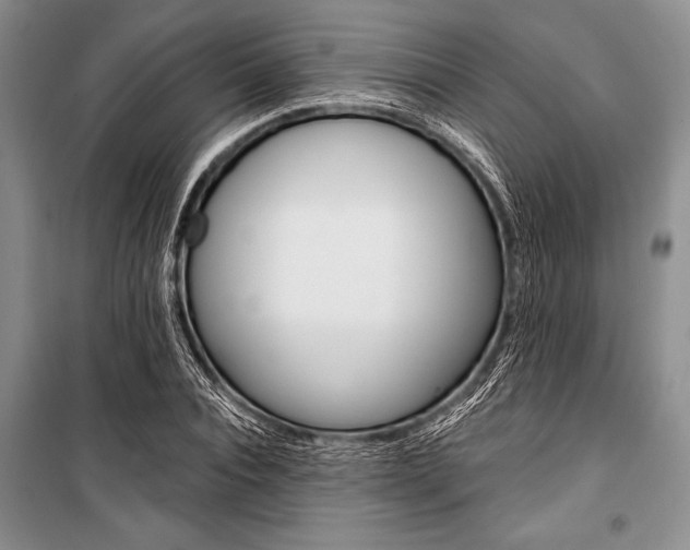 X0000101110928200806261105