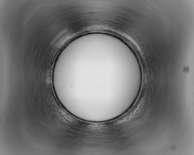 X0000101110929200806261105