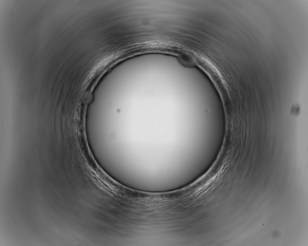 X0000101110930200806261105