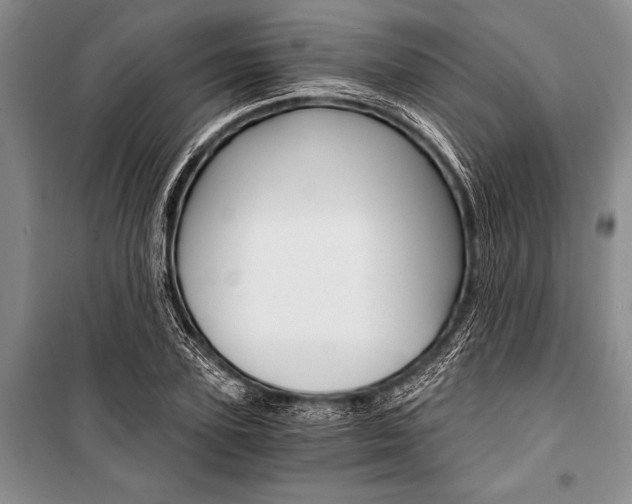 X0000101110931200806261105