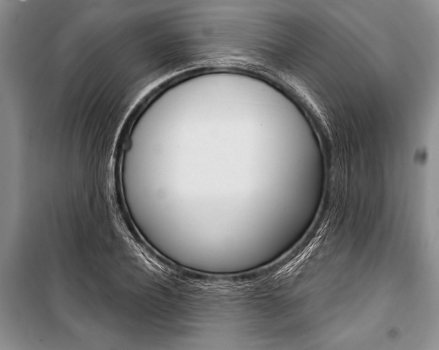 X0000101110932200806261105