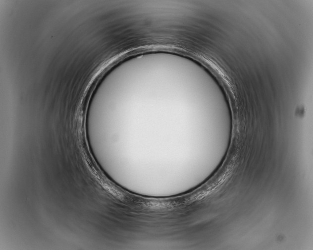 X0000101110933200806261105