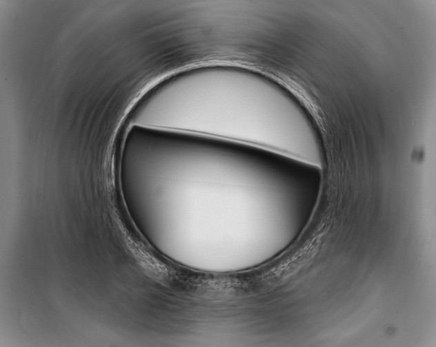 X0000101110934200806261105