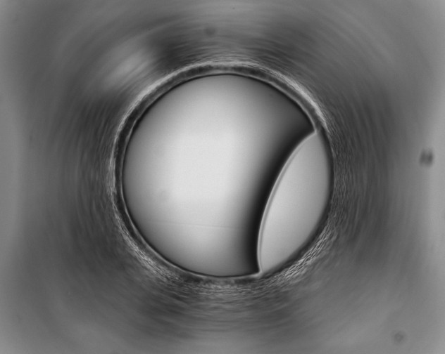 X0000101110935200806261105