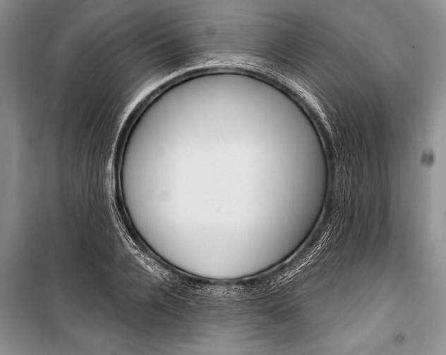 X0000101110936200806261105
