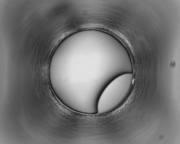 X0000101110937200806261105