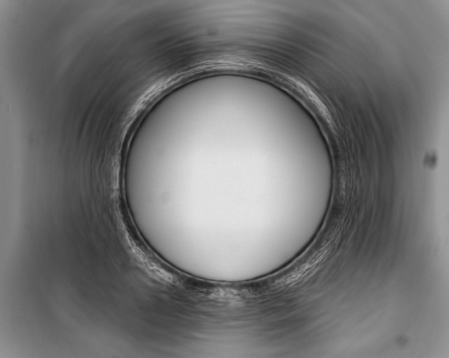 X0000101110938200806261105
