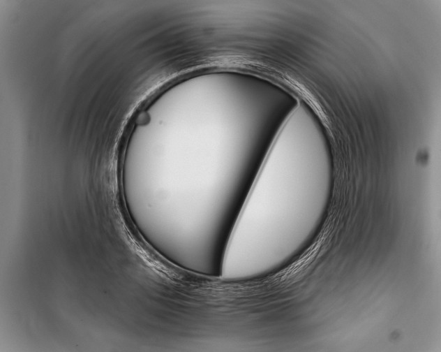 X0000101110939200806261105