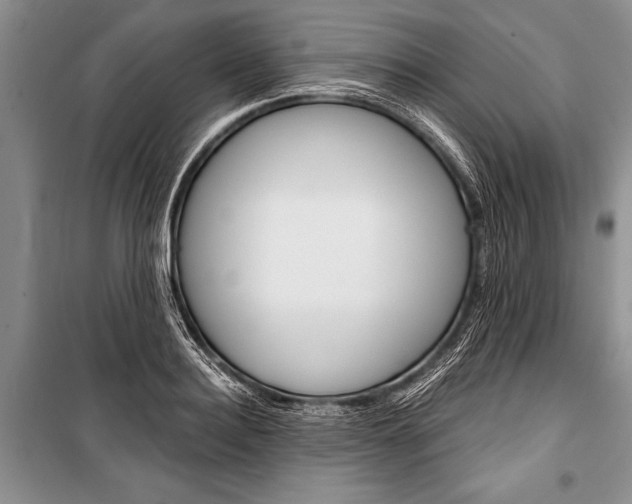 X0000101110940200806261105
