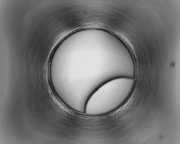 X0000101110941200806261105
