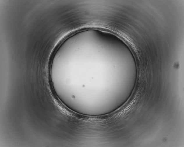 X0000101110942200806261105