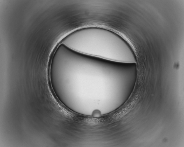 X0000101110943200806261105