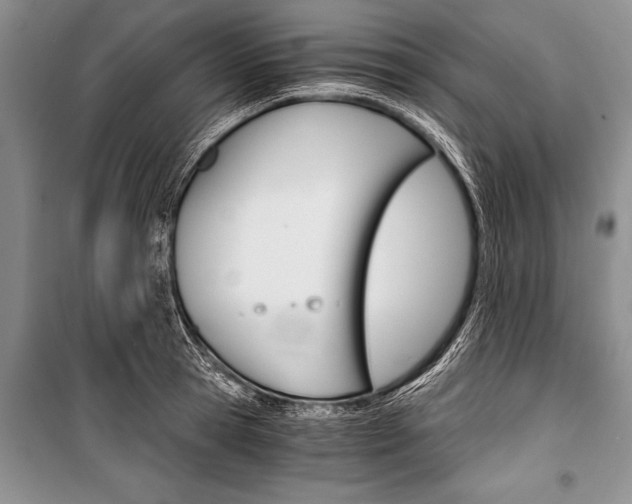X0000101110945200806261105