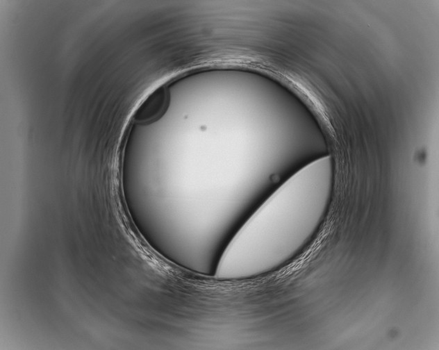 X0000101110948200806261105