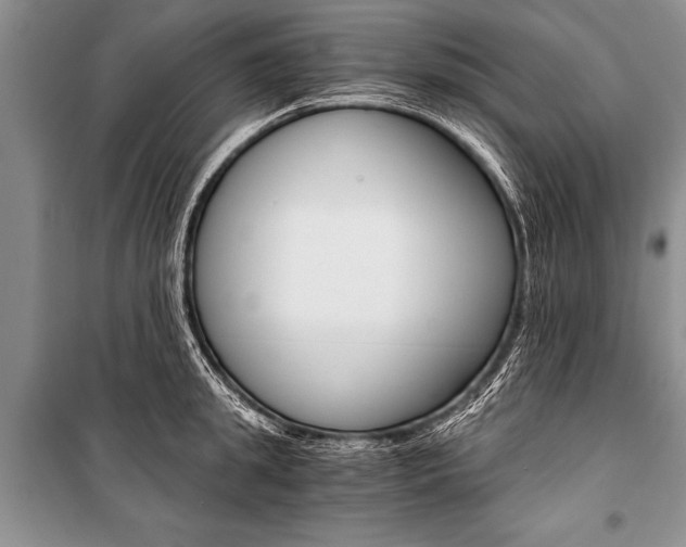 X0000101110949200806261105