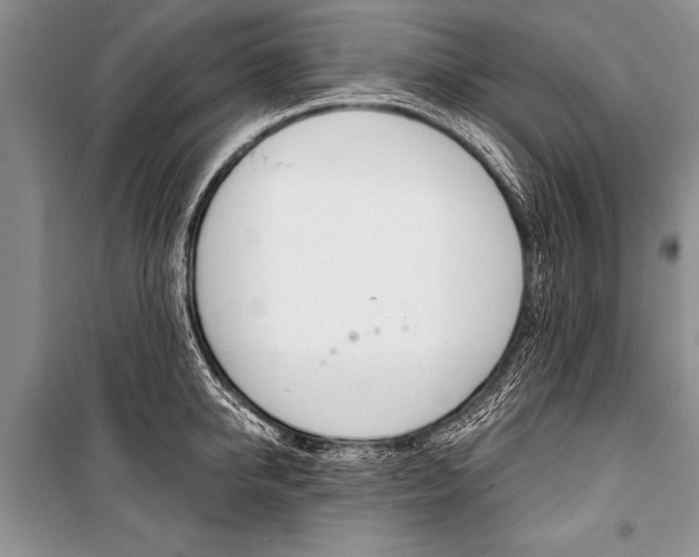 X0000101110950200806261105