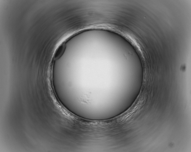 X0000101110952200806261106