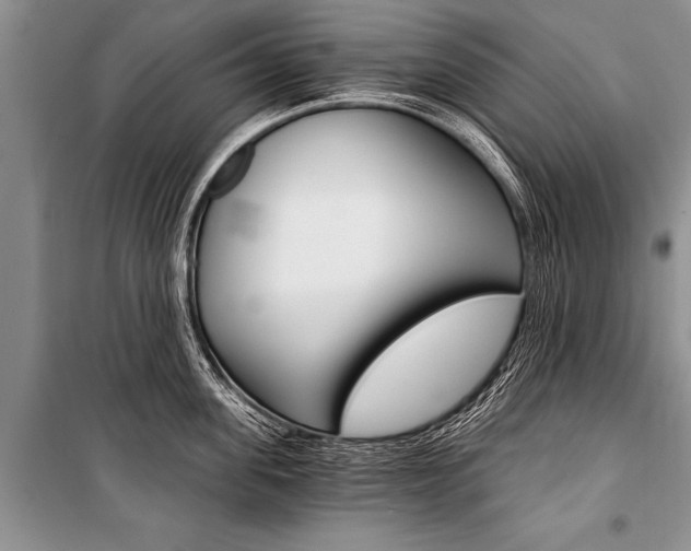 X0000101110955200806261106