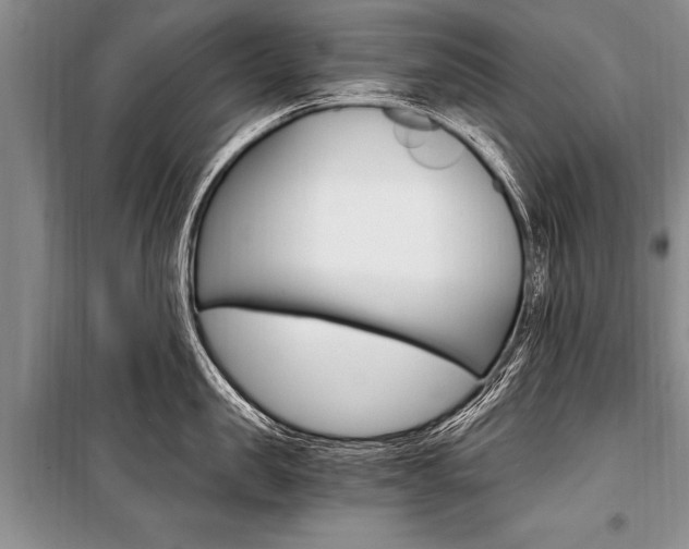 X0000101110957200806261106