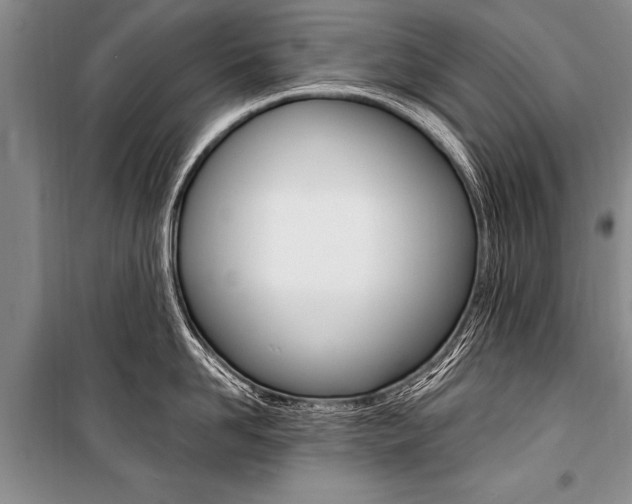 X0000101110958200806261106