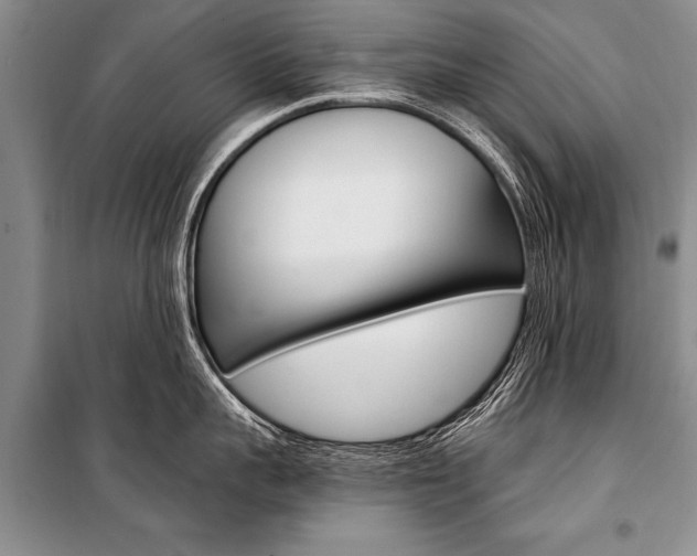 X0000101110959200806261106