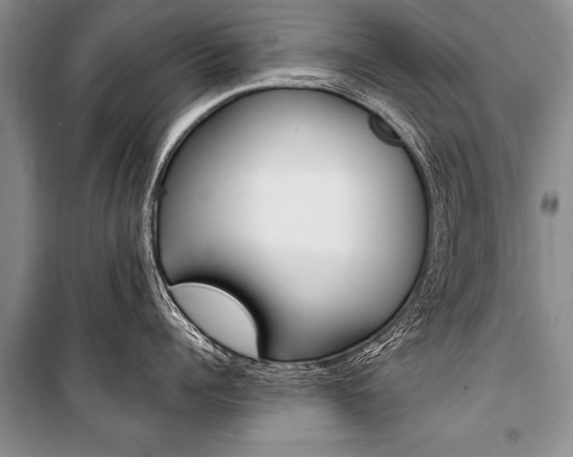 X0000101110960200806261106