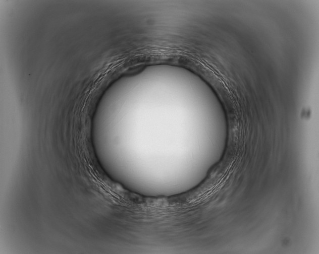 X0000101110961200806261105