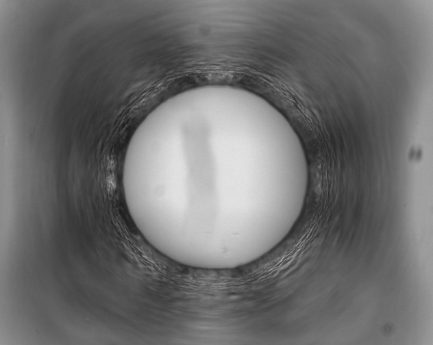 X0000101110962200806261105