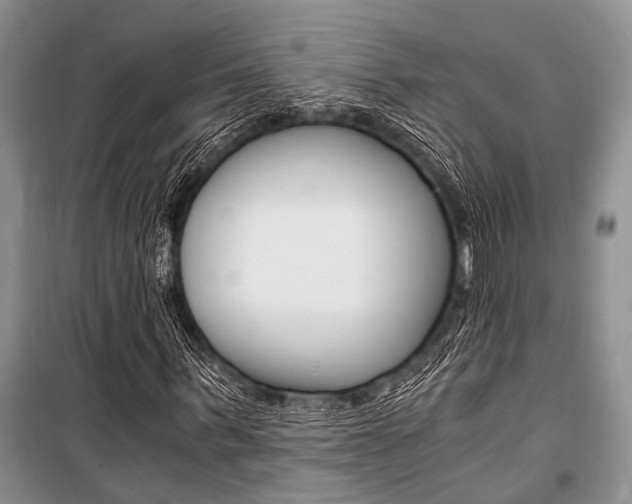 X0000101110963200806261105