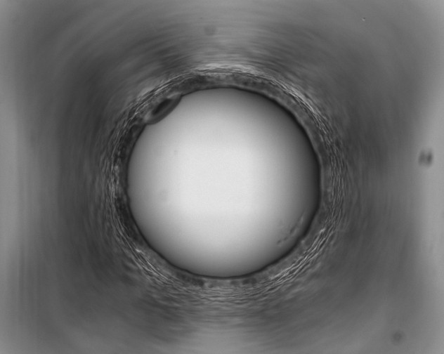 X0000101110965200806261105