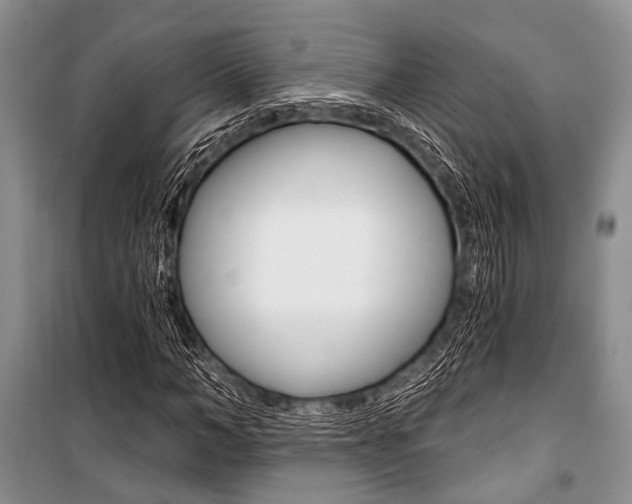 X0000101110966200806261105