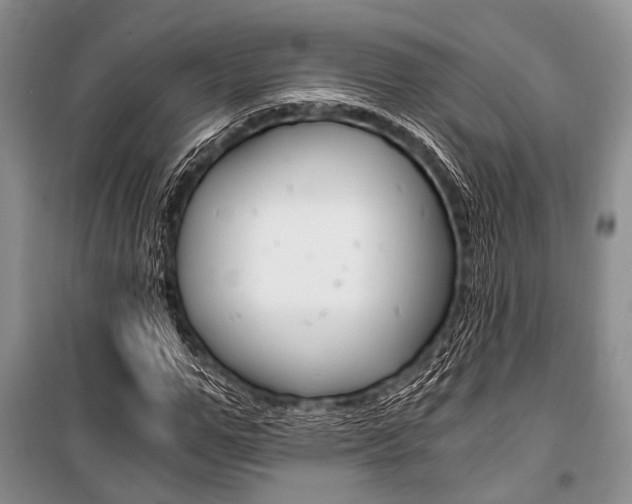 X0000101110967200806261105