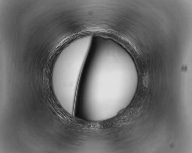 X0000101110968200806261105