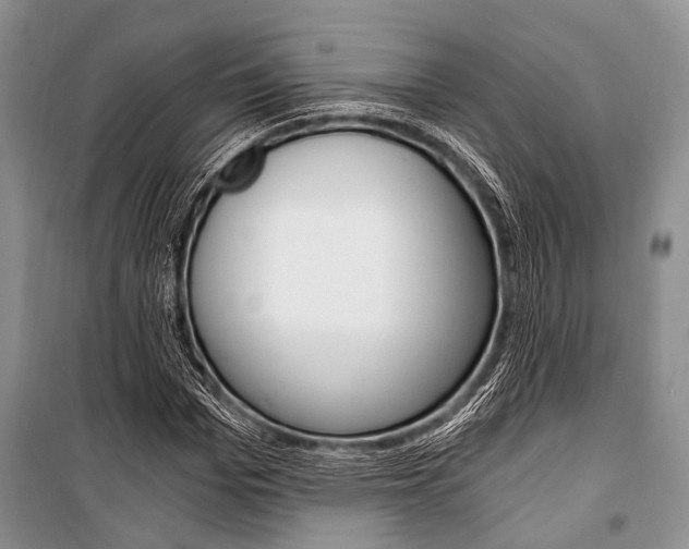 X0000101110969200806261105