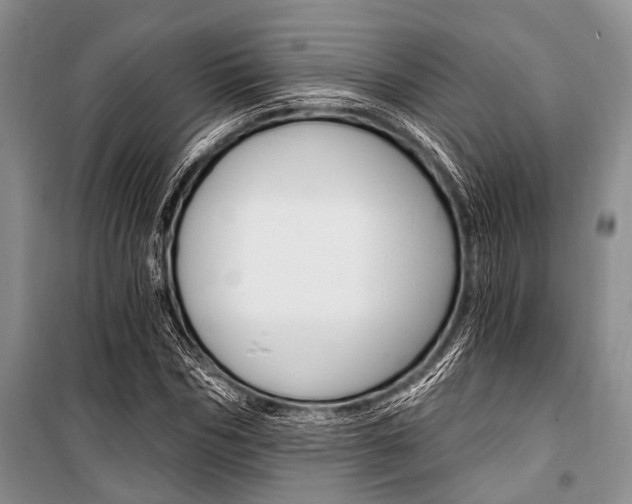 X0000101110970200806261104