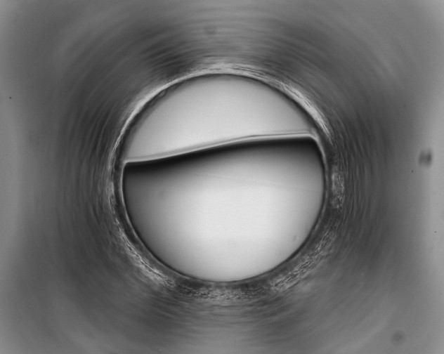 X0000101110972200806261104