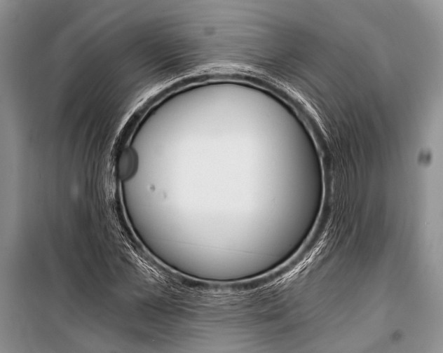 X0000101110973200806261104