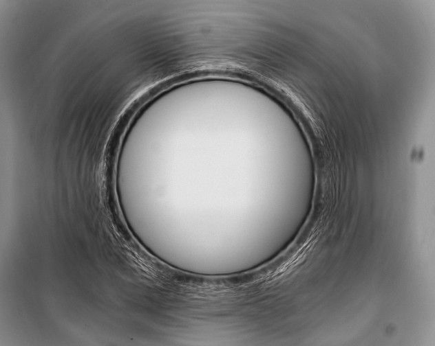 X0000101110975200806261104