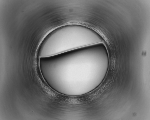 X0000101110976200806261104