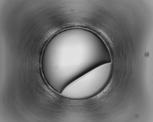 X0000101110977200806261104