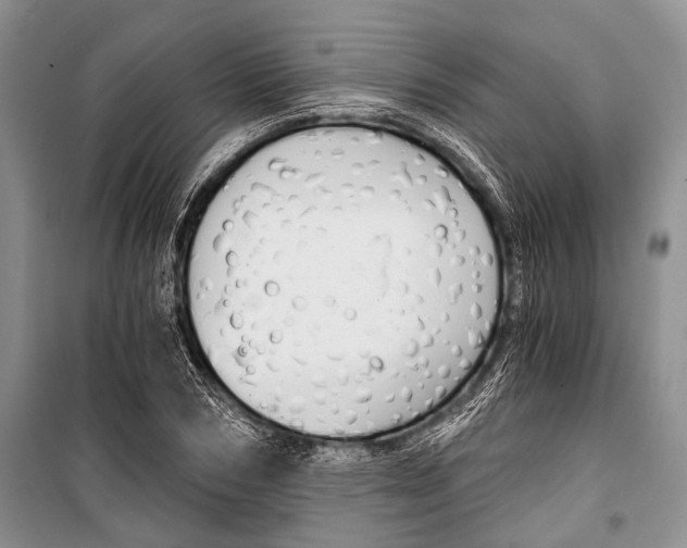 X0000101110978200806261104