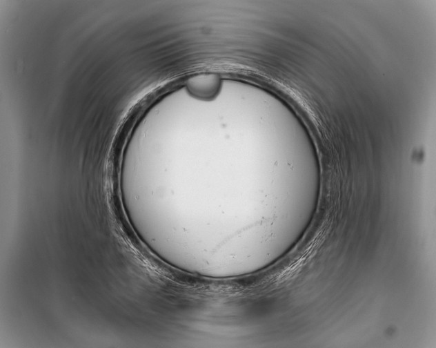 X0000101110979200806261104