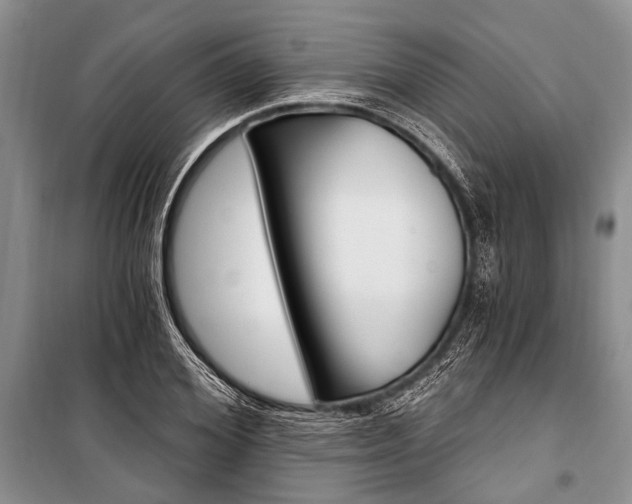 X0000101110980200806261104