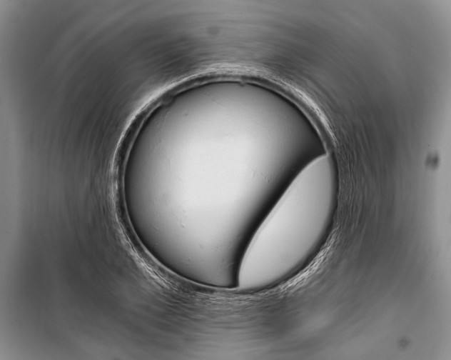 X0000101110981200806261104