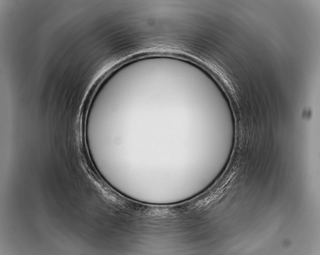 X0000101110982200806261104