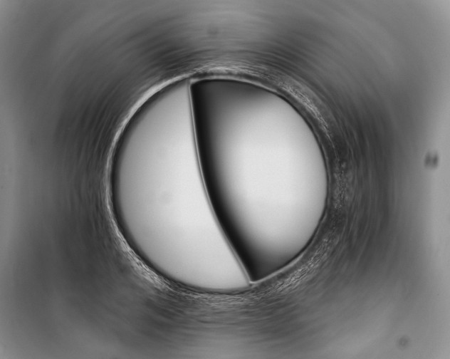 X0000101110984200806261104