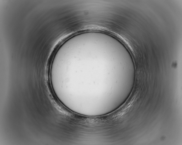 X0000101110987200806261104