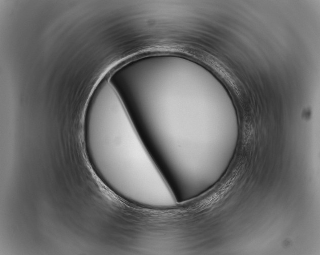 X0000101110988200806261104