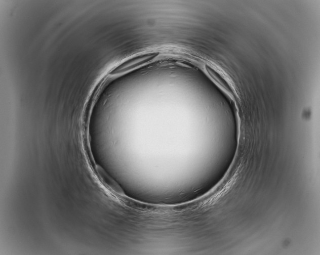 X0000101110989200806261104