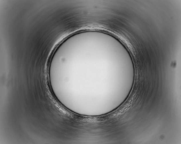 X0000101110990200806261104